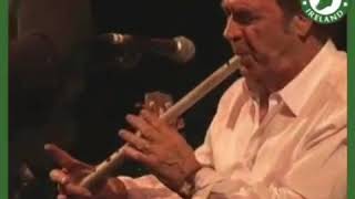 The Lonesome Boatman Finbar Furey [upl. by Airolg]