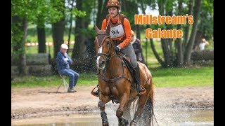 Eventing Tilburg met Millstreams Galante ✰vlog 73✰ [upl. by Aloke]