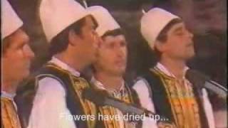 Flaka Mbuloi Fshane Albanian folk music with English subtitles [upl. by Meehahs812]