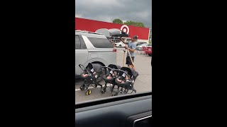 Triplet Dad solves Stroller Problem 😲 [upl. by Ennirok173]