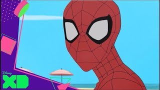 Marvel SpiderMan Maratón fin de semana – El trabajo del superhéroe  Disney XD Oficial [upl. by Madden]