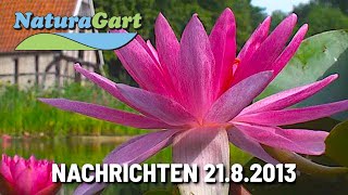 NaturaGart Nachrichten 21082013 [upl. by Ahseinad97]