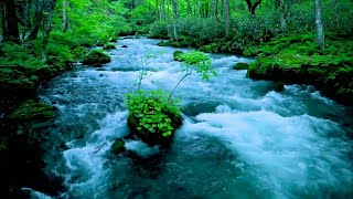 Relaxing River Sounds For Sleeping Relaxing River Sounds [upl. by Lorola543]