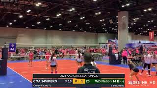 WD Nation 14 Blue vs COA 14VIPERS 20240614 [upl. by Lauretta882]