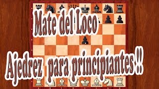 Ajedrez chess Mate del Loco Ajedrez para principiantes [upl. by Ammann476]