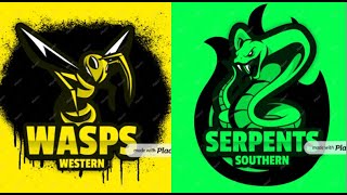 WASPS vs SERPENTS HOMER HARRY [upl. by Costanza81]