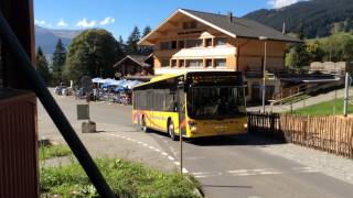 Einsatz LKW mit Kran in Oberleitung [upl. by Natsyrt]