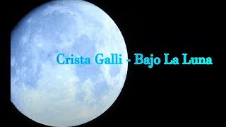 Crista Galli  Bajo la Luna [upl. by Anitsahs]