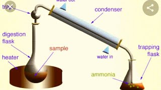 QUANTITATIVE ANALYSIS  ESTIMATION OF NITROGEN BY KJELDHALS METHOD [upl. by Mittel126]