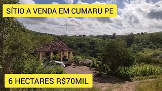 SÍTIO À VENDA EM CUMARU PE 6 HECTARES [upl. by Reeva]