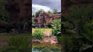 LORO PARK TENERIFE [upl. by Edholm]