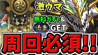 【周回必須】無料ガチャamp称号ゲット！シロキセイリュウ降臨周回！ノルディス編成！報酬激ウマです！代用・立ち回り解説！確保数解説付き【パズドラ】 [upl. by Melisandra136]