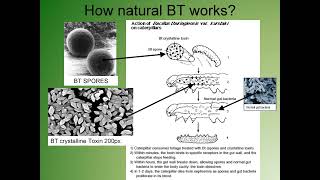 Advances in BiotechnologyModule 1 Transgenic Plants [upl. by Yorgen]