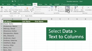 Split data into different columns in Microsoft Excel [upl. by Ynahpit586]