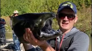 BIG FISH LIKE AND SUBSCRIBE Thank you [upl. by Joel]