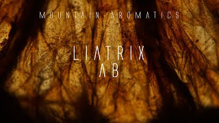 Liatrix Absolute  Making Custom Perfume  Mountain Aromatics [upl. by Analart]