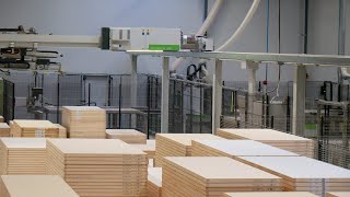 Klantcase Plessers Deuren  Biesse Winstore X2 platenmagazijn amp Biesse Rover A FT nestingmachine [upl. by Verina]