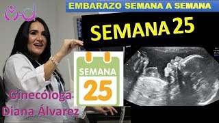 SEMANA 25 EMBARAZO SEMANA A SEMANA POR GINECOLOGA DIANA ALVAREZ [upl. by Flss363]