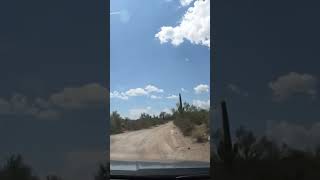 Saguaro National Park [upl. by Otcefrep]