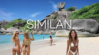 🐢Similan Island🐢 4K Walking Tour Thailand 2024 [upl. by Boyce]