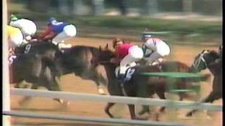 Arazi  1991 Breeders Cup Juvenile Post Race [upl. by Letnuhs302]