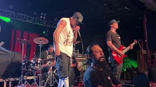 HED PE  “Renegade” Live [upl. by Mosa99]