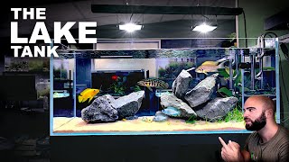 Aquascape Tutorial EPIC 4ft African Cichlid Aquarium  Lake Tanganyika How To Step By Step Guide [upl. by Carlton337]