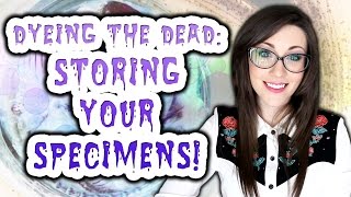 Dyeing The Dead  EP 10 Storing Your Specimens [upl. by Oirasan]