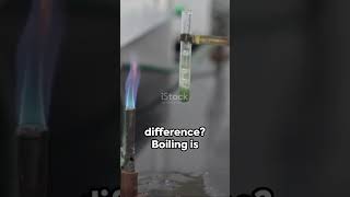 Quick Science Boiling vs Evaporation [upl. by Pascoe492]