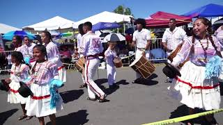 festival Manassas Virginia 2018 Saya Afro Bolivia [upl. by Pennebaker]