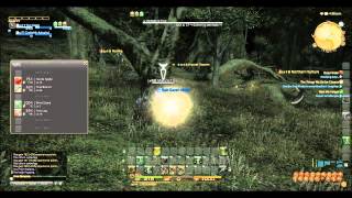 Final Fantasy XIV Online  Yew logsCarbonized Matter Farming Guide [upl. by Verger]