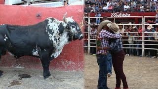 15 TOROS BRAVOS RECIÉN BAJADOS DEL CERRO REYES MALBORO EN LA MONUMENTAL DE MORELIA 2018 [upl. by Waterer]