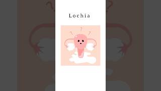 Lochia kattrucate medicalreels shorts pregnancy discharge red pink periods leucocytes [upl. by Demy]