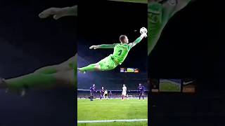 Best goalkeeper Saves 2024🔥short shorts football sports goalkeeper [upl. by Ellehcen559]