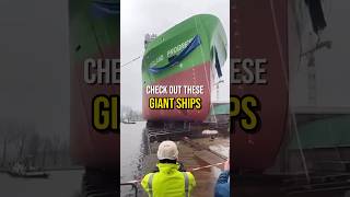 Giant Ship Launches crazy ship boat launch youtubeshorts shorts [upl. by Toulon]