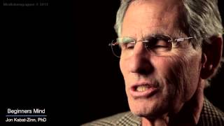 Jon KabatZinn Mindfulness 9 attitudes  beginners mind [upl. by Akihsal]