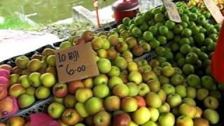 Kuah Town night market food stalls in Langkawi [upl. by Ollayos]