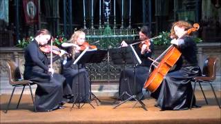 Nero String Quartet Lord of the Rings  Concerning Hobbits [upl. by Yramanna459]