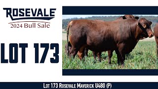 Lot 173 Rosevale Maverick U480 P [upl. by Trembly454]