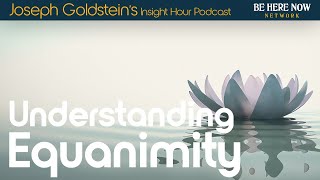 Understanding Equanimity with Joseph Goldstein – Insight Hour Podcast Ep 177 [upl. by Ernest641]