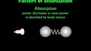 Ultrasound Physics Attenuation [upl. by Neelehtak]