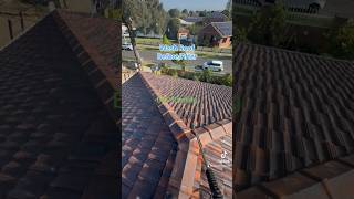 Roof Restoration shorts shortvideo brproofing roofingservices [upl. by Solley180]