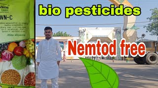 verticillium chlamydorium 10WP And varticiliam laknayi bio insecticide जैविक खेती करने वाले साथ [upl. by Ernaldus]