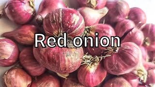 Red onion full review of definitions health benefits side effects and cultivation techniques [upl. by Sedgewinn]