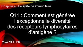 Chap 4  Le système immunitaire  Q11  Comment est générée la diversité des récepteurs dantigène [upl. by Etz]