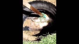 Clearing a blockage on your septic sytem when your tank backs up [upl. by Pandich869]