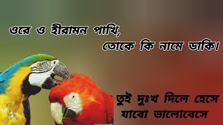 Ore O Hiramon Pakhi Toke Ki Name Daki Song  ওরে ও হিরা মন পাখি তোকে কি নামে ডাকি  Bangla New Song [upl. by Massimo]