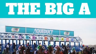 Aqueduct Racing Picks and Predictions for today FRIDAY horseracing aqueduct shorts [upl. by Igenia]