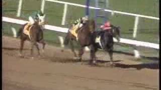 Top 10 Breeders Cup Moments [upl. by Nylodnarb]