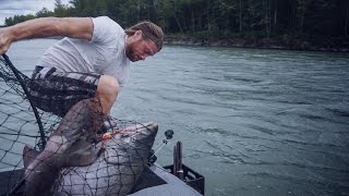 Giant 60 Pound King Salmon Almost Knocks Guy in Water [upl. by Naul89]